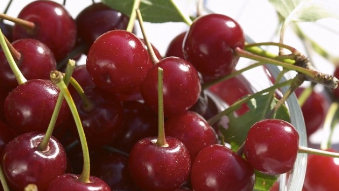 Višnja snižava krvni pritisak